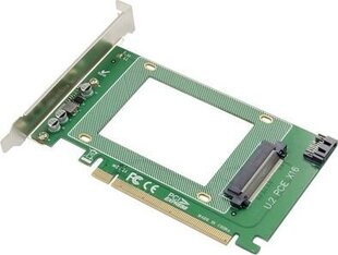 Kontroler ProXtend ProXtend PCIe X16 U.2 SFF8639 SSD Adapter Card цена и информация | Регуляторы | hansapost.ee