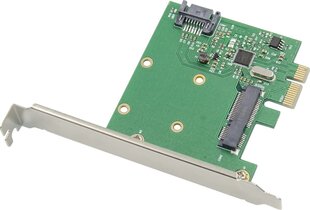 Kontroler ProXtend PCIe x4 - mSATA (PX-SR-10256) hind ja info | ProXtend Arvutid ja IT- tehnika | hansapost.ee