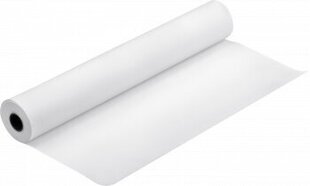 Рулоновая бумага Epson Proofing Paper Semimatte, 17inch x 30,5 м, 250 г/м², белая цена и информация | Epson Товары для школы | hansapost.ee