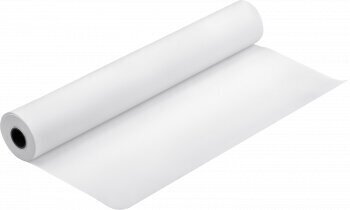 Paberirull Epson Proofing Paper Semimatte, 17inch x 30,5 m, 250 g/m², valge цена и информация | Kirjatarvikud | hansapost.ee