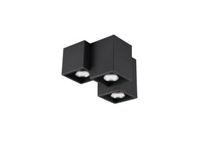 Потолочный светильник Fernando из 3-х частей 3 x GU10, черный матовый  цена и информация | Потолочные светильники | hansapost.ee