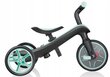 Kolmerattaline jalgratas Globber Trike Explorer 4in1, piparmündivärvi hind ja info | Kolmerattalised jalgrattad lastele | hansapost.ee