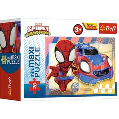 TREFL SPIDER-MAN Mini Maxi pusle Spidey, 20 osa hind ja info | Pusled lastele ja täiskasvanutele | hansapost.ee