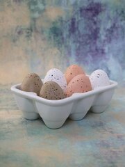 Portselanist munanõu hind ja info | Lauanõud ja nõude komplektid | hansapost.ee