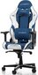 Tool DXRacer Gladiator, Sinine hind ja info | Kontoritoolid | hansapost.ee