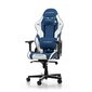 Tool DXRacer Gladiator, Sinine цена и информация | Kontoritoolid | hansapost.ee