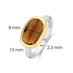 Ti Sento pruuni kiviga hõbesõrmus 901013806 hind ja info | Sõrmused | hansapost.ee