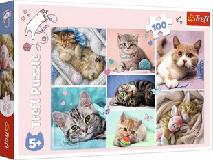 Пазл TREFL Мир кошек, 100 шт. цена и информация | Пазлы | hansapost.ee