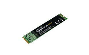 Intenso SSD PCI Express 120GB цена и информация | Внутренние жёсткие диски (HDD, SSD, Hybrid) | hansapost.ee