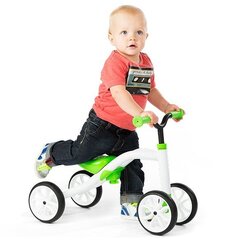 Четырехколесный балансировочный велосипед Chillafish Quadie, зелёный цена и информация | Chillafish Уличные игрушки для детей | hansapost.ee