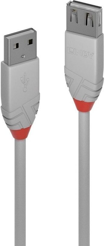 CABLE USB2 TYPE A 0.2M/ANTHRA 36710 LINDY цена и информация | Mobiiltelefonide kaablid | hansapost.ee