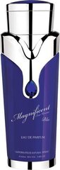 Armaf Magnificent Blue For Men - Edp, 100 ml цена и информация | Мужские духи | hansapost.ee