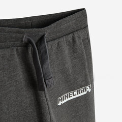 Cool Club спортивные брюки для мальчиков Minecraft, LCB2410983 цена и информация | Штаны для мальчиков | hansapost.ee