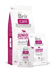 Сухой корм Brit Care Junior Large Breed Lamb & Rice для щенков и молодых собак крупных пород, 3 кг цена и информация | Сухой корм для собак | hansapost.ee