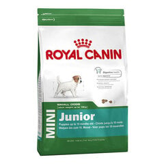 Koeratoit Royal Canin Mini Junior, 8 kg hind ja info | Koerte kuivtoit ja krõbinad | hansapost.ee