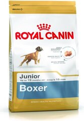 Kuivtoit Royal Canin noortele bokseritele Boxer Junior 12 kg hind ja info | Koerte kuivtoit ja krõbinad | hansapost.ee