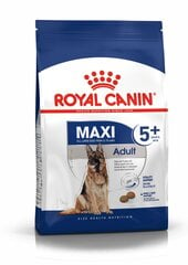 Royal Canin для пожилых собак крупных пород Maxi Adult, 5 + 15 кг цена и информация | Сухой корм для собак | hansapost.ee