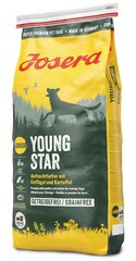 Kuivtoit koertele Josera Dog Junior Youngstar Grainfree, 15 kg hind ja info | Josera Lemmikloomatarbed | hansapost.ee