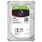 HDD Seagate NAS IronWolf 8TB 3,5" ST8000VN004 hind ja info | Sisemised kõvakettad | hansapost.ee