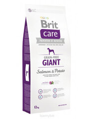 Сухой корм для собак крупных пород Brit Care Giant Grain-Free Salmon&Potato с лососем и картофелем, без зерновых, 12 кг цена и информация | Сухой корм для собак | hansapost.ee