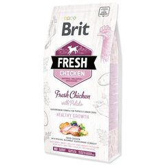 Brit Fresh Chicken with Potato Puppy полноценный корм для щенков 2,5 кг цена и информация | Сухой корм для собак | hansapost.ee