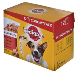Pedigree консервный набор для собак Vital Protection, 12x100 г цена и информация | Консервы для собак | hansapost.ee