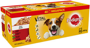 Pedigree консервный набор для собак Vital Protection, 4 кг цена и информация | Консервы для собак | hansapost.ee