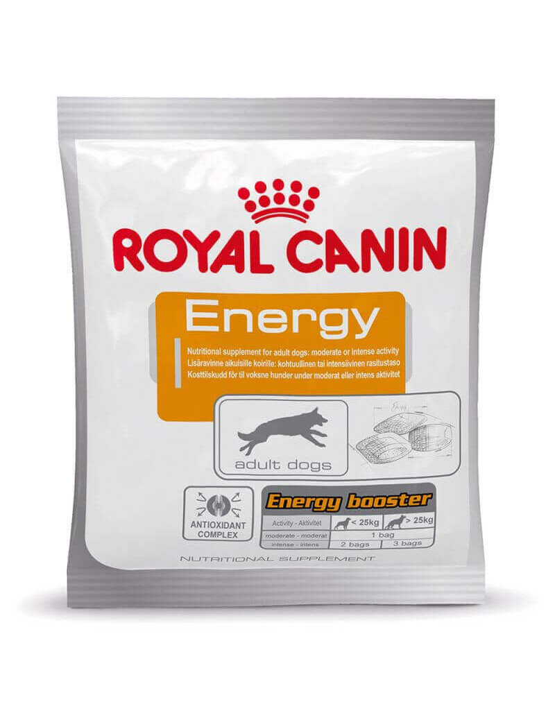 Suupiste täiskasvanud aktiivsetele koertele Royal Canin Energy, 50 g hind ja info | Koerte maiused | hansapost.ee