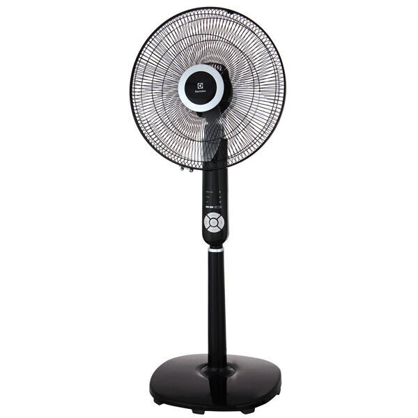 Ventilaator Electrolux EFF1004i, 55W цена и информация | Ventilaatorid | hansapost.ee