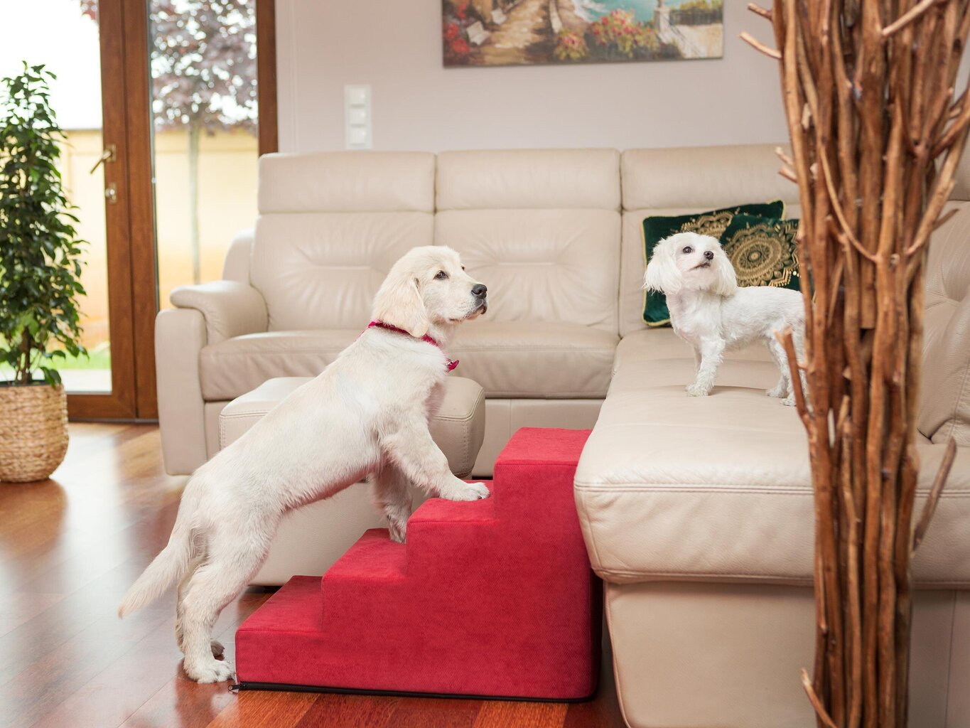 Hobbydog trepp Savoy 4, punane, 60x40x40 cm цена и информация | Pesad, asemed | hansapost.ee