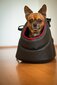 Hobbydog lemmiklooma transpordikott Black, R1, 36x20x22 cm hind ja info | Transpordipuurid, -kotid ja aedikud | hansapost.ee