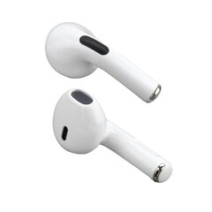 Juhtmevabad kõrvaklapid 4smarts TWS SkyBuds Pro Bluetooth hind ja info | Kõrvaklapid | hansapost.ee