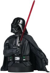 Diamond Select Star Wars A New Hope Darth Vader hind ja info | Fännitooted mänguritele | hansapost.ee