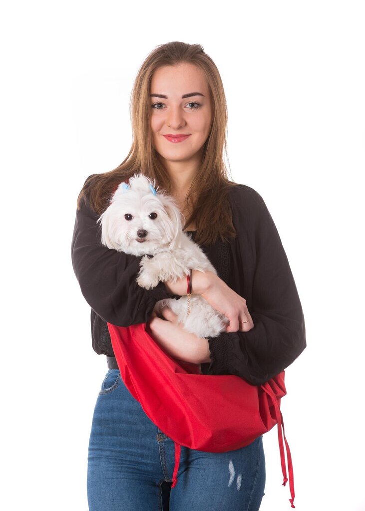 Hobbydog lemmiklooma transpordikott Juliette Red hind ja info | Transpordipuurid, -kotid ja aedikud | hansapost.ee