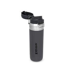 Термобутылка The Quick Flip Water Bottle Go, 1.06 л, серая цена и информация | ДЕРЖАТЕЛЬ ДЛЯ БУМАЖНЫХ ПОЛОТЕНЕЦ BERLINGER HAUS BH-1609 | hansapost.ee