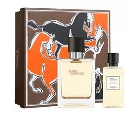 Komplekt Hermes Terre D'Hermes meestele: tualettvesi EDT 50 ml + dušigeel 40 ml цена и информация | Мужские духи | hansapost.ee