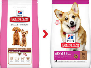 Kuivtoit koertele Hill's Sience Plan Small & Mini Adult lambaliha ja riisiga, 6 kg цена и информация | Сухой корм для собак | hansapost.ee