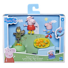 Komplekt Põrsas Peppa päev Hasbro Peppa Pig hind ja info | Mänguasjad tüdrukutele | hansapost.ee