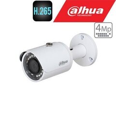 IP-камера Zhejiang Dahua Technology цена и информация | Камеры видеонаблюдения | hansapost.ee