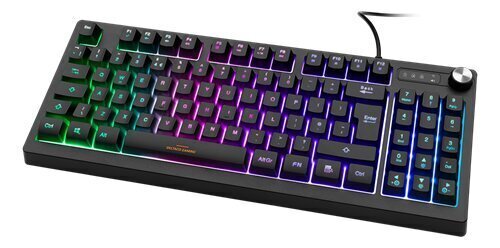 Delcato Gaming DK230 TKL hind ja info | Klaviatuurid | hansapost.ee