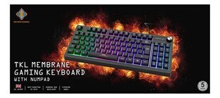 Delcato Gaming DK230 TKL цена и информация | Клавиатуры | hansapost.ee