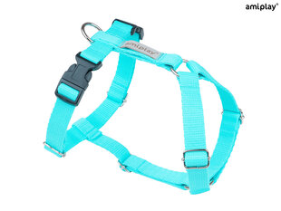 Reguleeritavad traksid Amiplay Guard Samba, XL, Turquoise hind ja info | Koerte kaelarihmad ja traksid | hansapost.ee