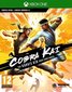 Cobra Kai: The Karate Kid Saga Continues, Xbox Series X hind ja info | Konsooli- ja arvutimängud | hansapost.ee