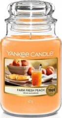 Ароматная свеча Yankee Candle Farm Fresh Peach 623 г цена и информация | Подсвечники, свечи | hansapost.ee