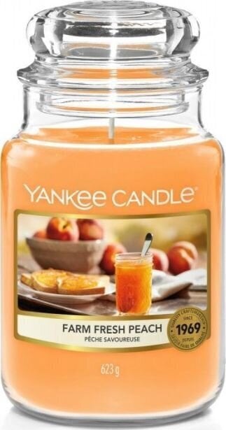 Lõhnaküünal Yankee Candle Farm Fresh Peach 623 g цена и информация | Küünlad, küünlajalad | hansapost.ee