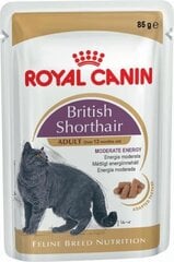 Royal Canin для британских короткошерстных кошек, 85 г x 12 шт. цена и информация | Консервы для кошек | hansapost.ee