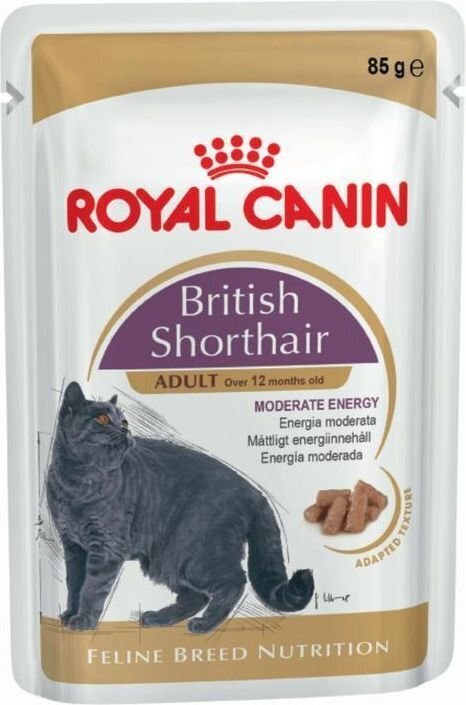 Royal Canin Briti lühikarvalistele, 85 g x 12 tk цена и информация | Kassikonservid | hansapost.ee