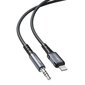 Acefast audio cable MFI Lightning - 3.5mm mini jack (male) 1.2m, AUX gray (C1-06 deep space gray) цена и информация | Mobiiltelefonide kaablid | hansapost.ee