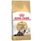 Kuiv kassitoit Royal Canin Persian, 2 kg hind ja info | Kassi kuivtoit ja kassikrõbinad | hansapost.ee