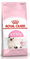 Royal Canin Kitten, 10 кг цена и информация | Сухой корм для кошек | hansapost.ee